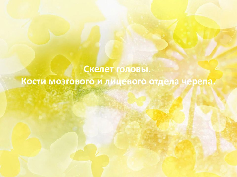 Скелет головы. Кости мозгового и лицевого отдела черепа.
