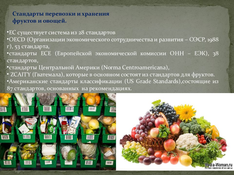 Презентация свежие овощи плоды грибы и продукты их переработки