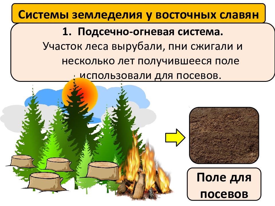 Подсечно огневая система. Подсечное земледелие восточных славян. Подсечно-огневое земледелие восточных славян. Огневая система земледелия. Системы земледелия у восточных славян.