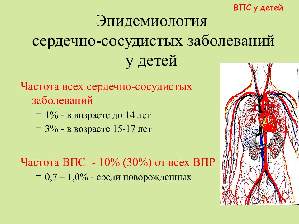 Сердечно сосудистые заболевания у детей презентация