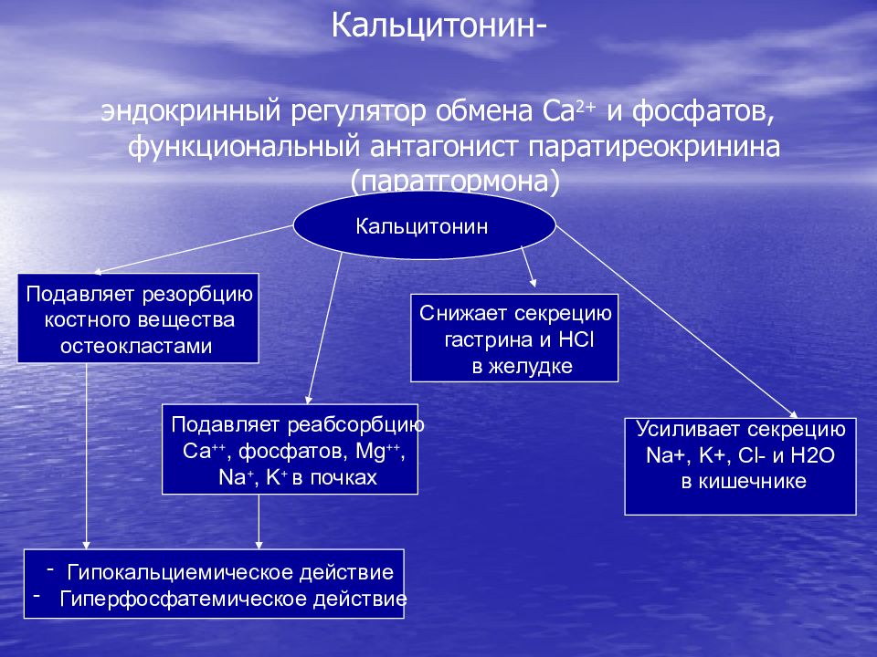 Регулятор обмена веществ. Кальцитонин антагонист паратгормона. Кальцитонин регуляция секреции. Нарушение функций кальцитонина патофизиология. Нарушение секреции тиреокальцитонина патофизиология.