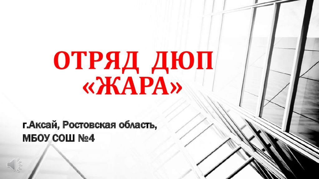 ОТРЯД ДЮП «ЖАРА»