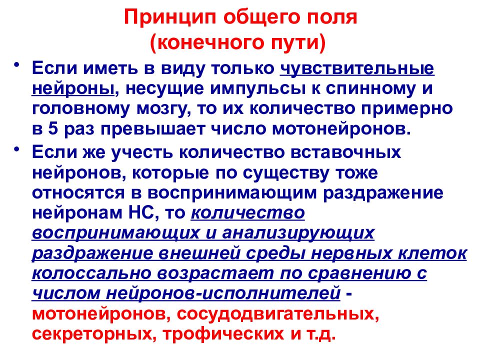 Принцип рефлекторной работы мозга был открыт. Принцип общего конечного пути. Координация рефлекторной деятельности. Координация рефлекторной деятельности ЦНС. Основные принципы координации рефлекторной деятельности.