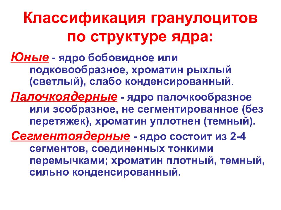 Основная функция гранулоцитов. Конденсированный хроматин. Микрофаги
