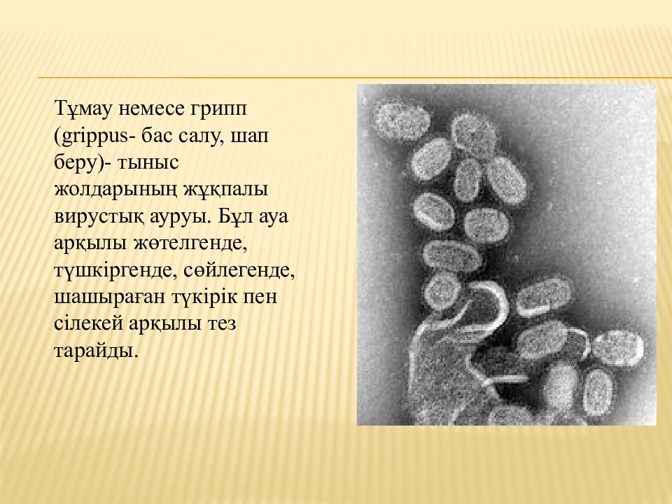 Реферат туралы презентация