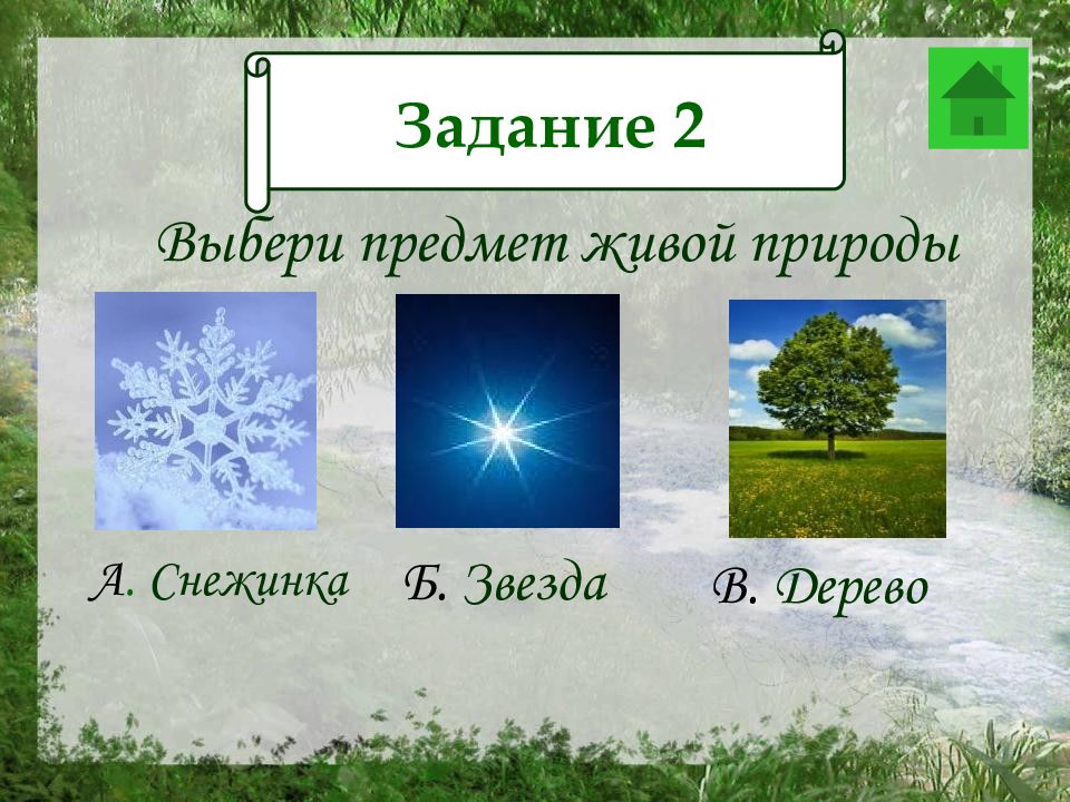 Выбери объекты живой природы. Выбери предмет живой природы. Снежинка объект живой природы. Задание выбери объекты живой природа. Снежинка относится к живой природе?.