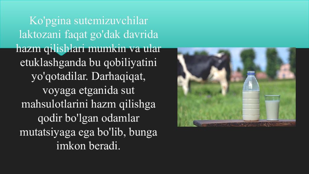 Disaxaridlarning siklotautoizomeriyasi Ko'pgina sutemizuvchilar laktozani faqat go'dak davrida hazm qilishlari mumkin va ular etuklashganda bu qobiliyatini yo'qotadilar. Darhaqiqat, voyaga etganida
