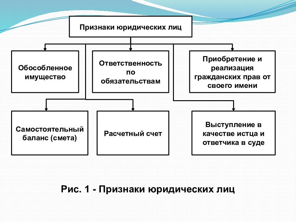 Предприятия 1 1 организация. Самостоятельный баланс юридического лица это. Баланс и смета юридических лиц это. Идентификационные признаки юр лица.