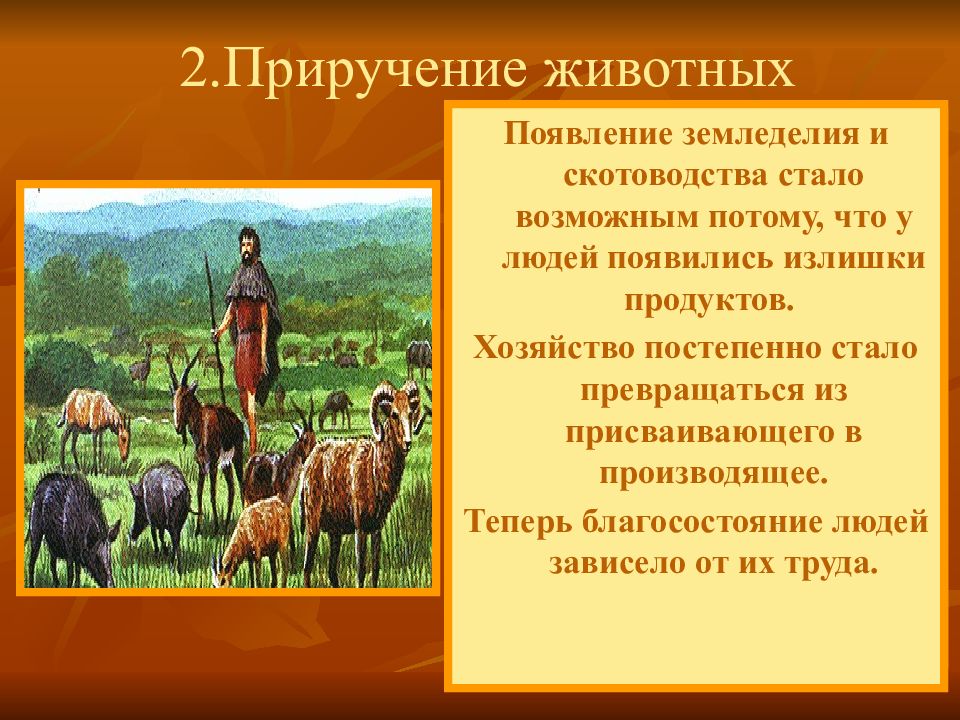 Презентация на тему скотоводство 7 класс