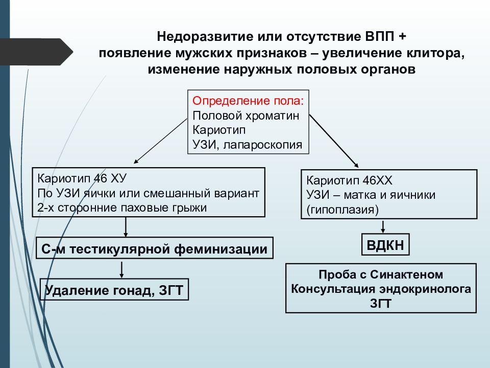 Гипоменструальный синдром презентация