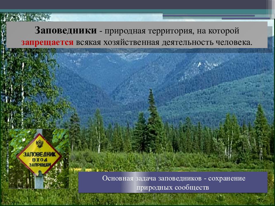 Зачем во всех странах создают заповедники