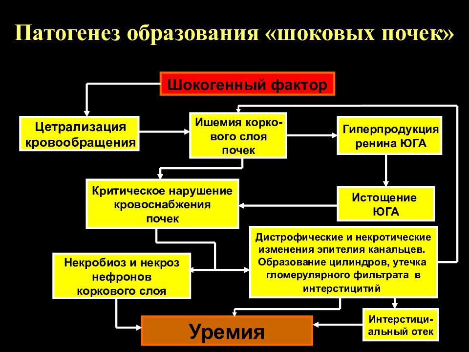 Токсический шок патогенез. Экстремальные состояния патофизиология. Этиология экстремальных состояний. Патогенез экстремальных состояний. Шоковая почка патогенез.