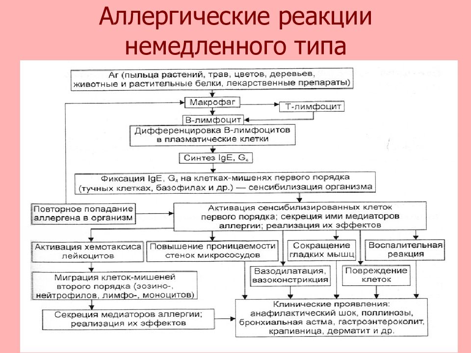 Аллергические реакции презентация