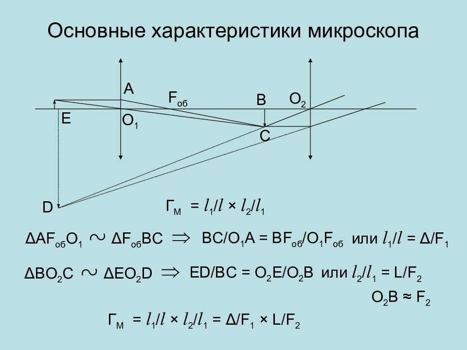 Ход лучей микроскопа рисунок