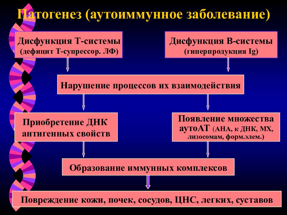 Схема патогенеза аутоиммунных заболеваний