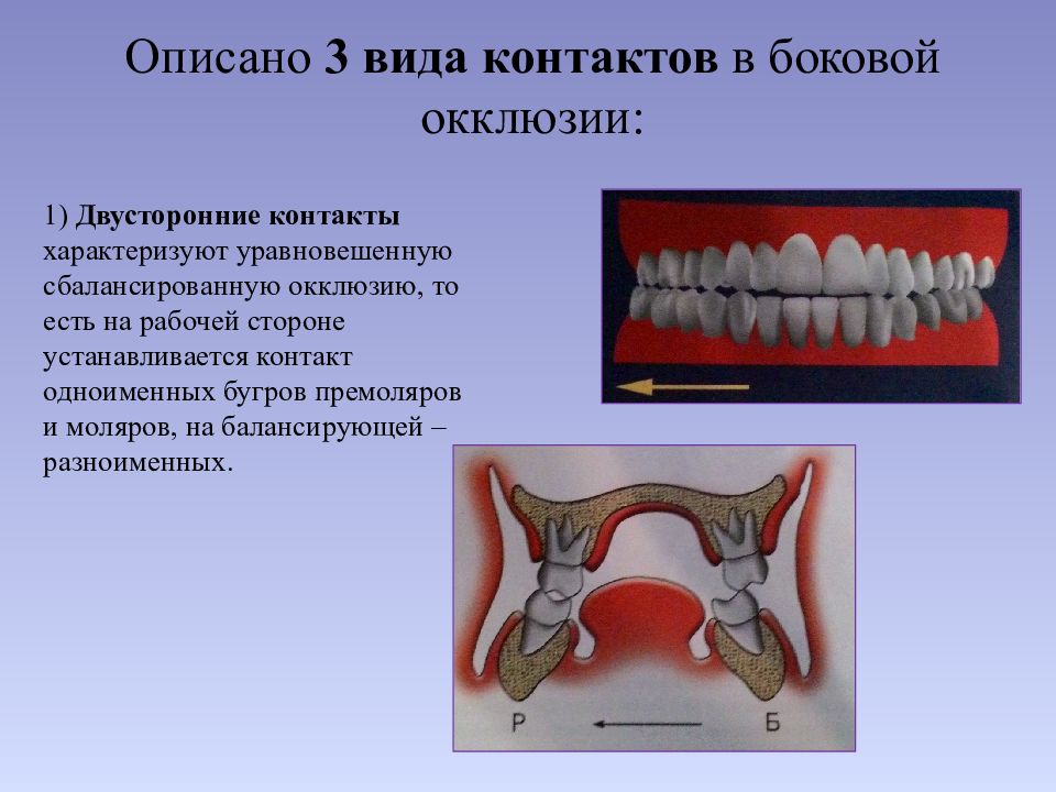 Центральная окклюзия и центральное соотношение челюстей презентация