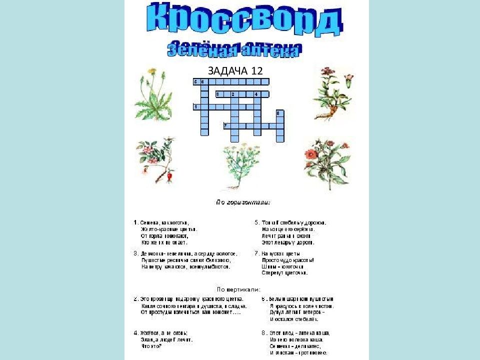 Название травы кроссворд. Кроссворд растения. Кроссворд для детей лекарственные травы. Кроссворд лекарственные растения. Кроссворд на тему растения.