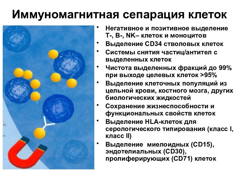 Серологический метод презентация