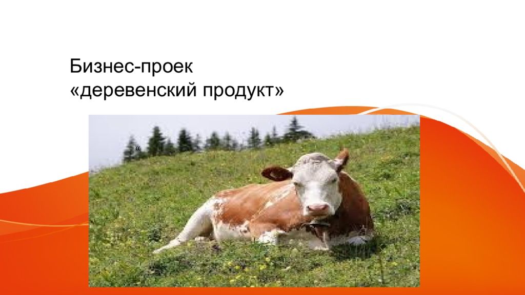 Бизнес-проек «деревенский продукт »