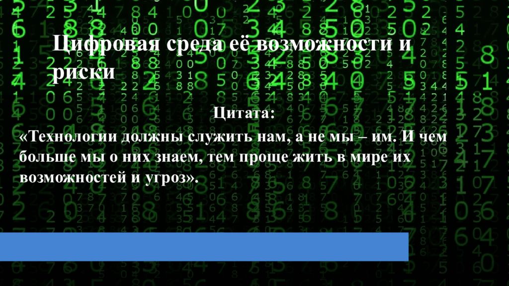 Цифровая среда её возможности и риски