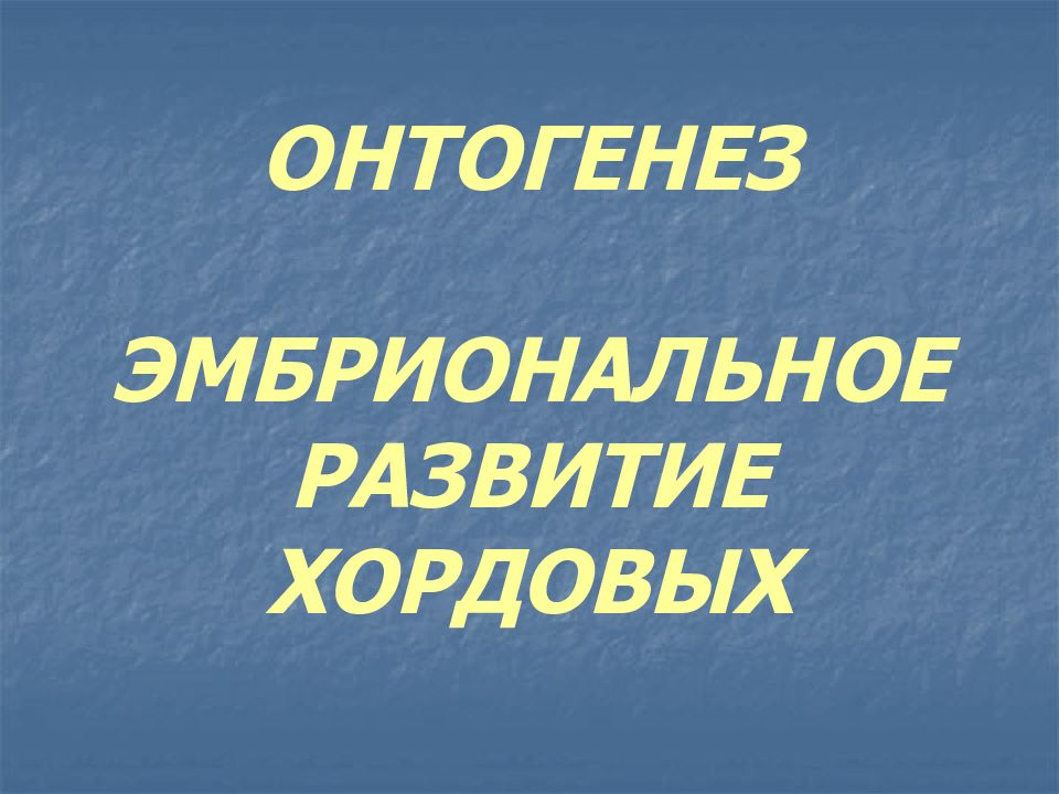 ОНТОГЕНЕЗ ЭМБРИОНАЛЬНОЕ РАЗВИТИЕ ХОРДОВЫХ