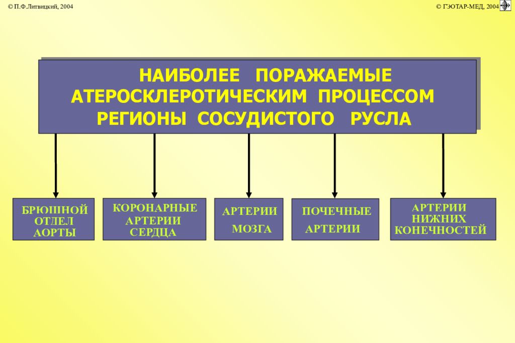 Липидные нарушения. Коронарная недостаточность Литвицкий.