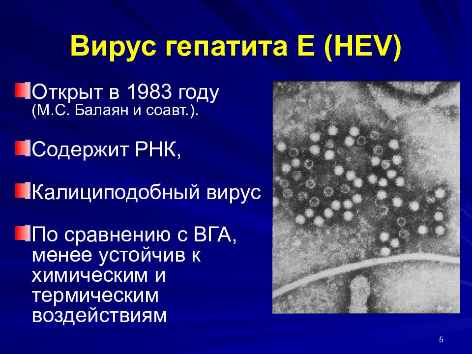 Презентация вирусный гепатит в