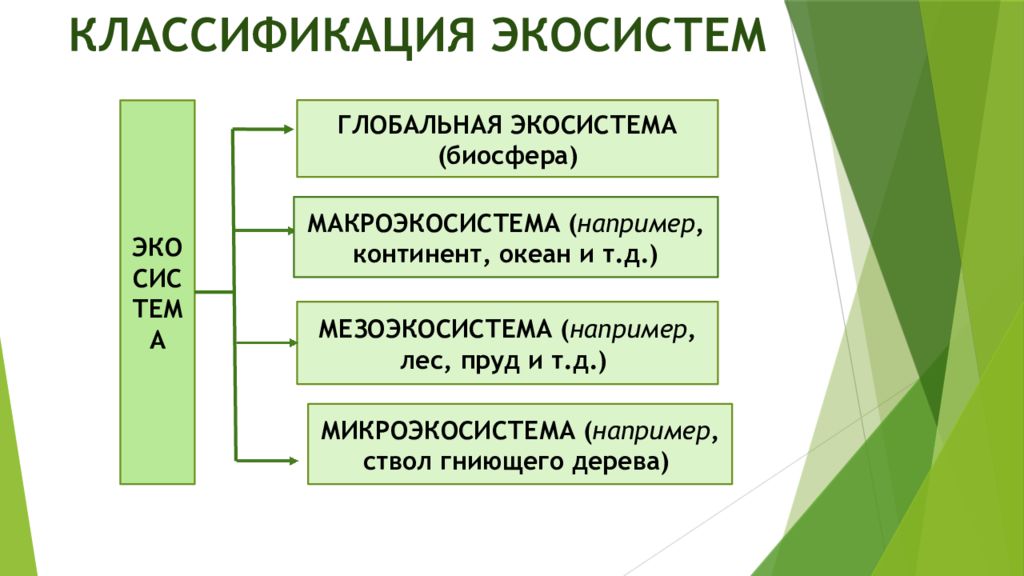 Механизмы экологических систем. Классификация экологических систем. Экосистема классификация экосистем. Классификация экосистем в экологии. Классификация экосистем по размерам.