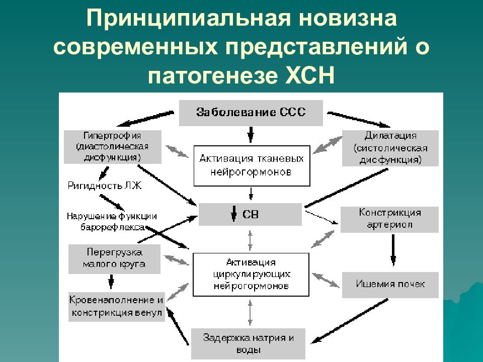 Механизм развития сердечной недостаточности. Хроническая сердечная недостаточность патогенез. Этиология ХСН. Современные представления о патогенезе сердечной недостаточности. Механизм развития ХСН.