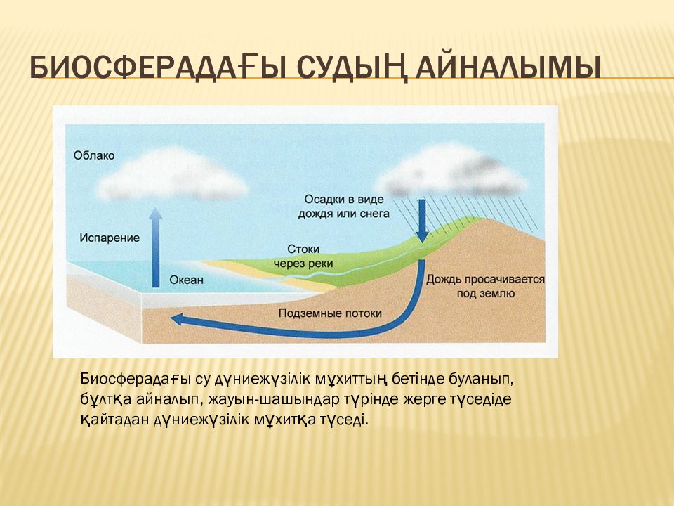 Табиғаттағы заттар айналымы 5 сынып жаратылыстану