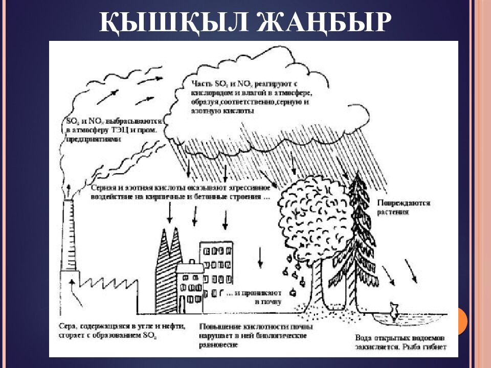 Қышқыл жаңбыр