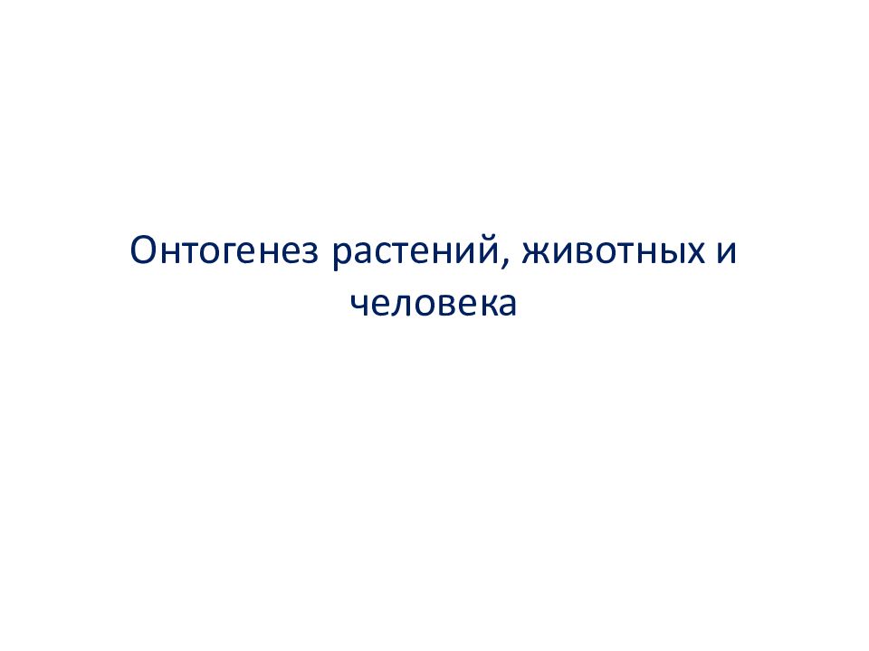 Онтогенез растений, животных и человека