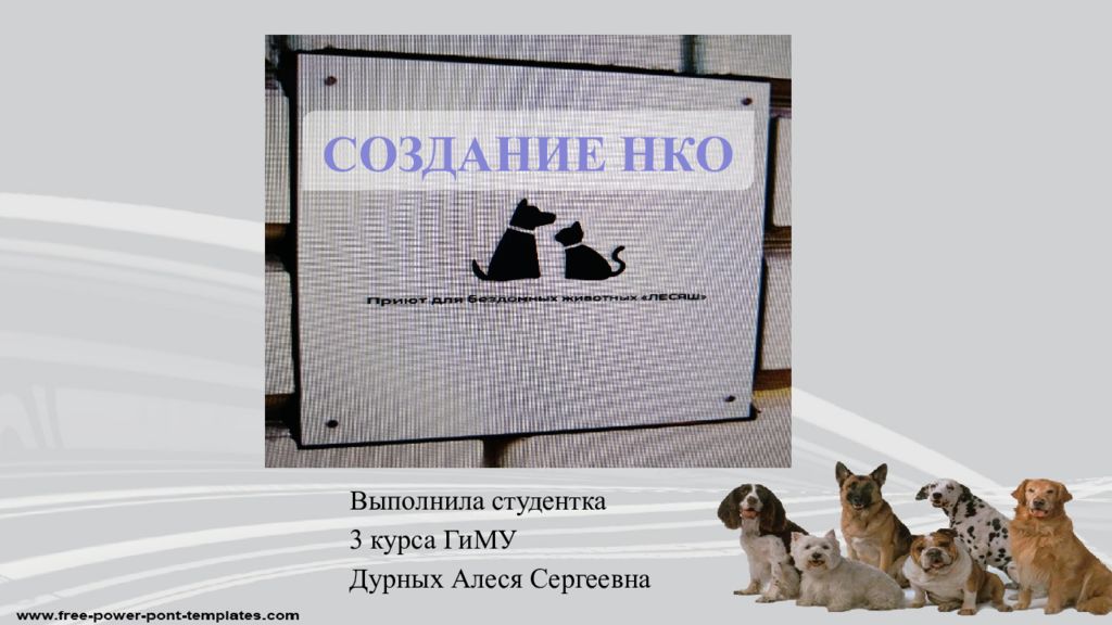 Выполнила студентка 3 курса ГиМУ Дурных Алеся Сергеевна СОЗДАНИЕ НКО