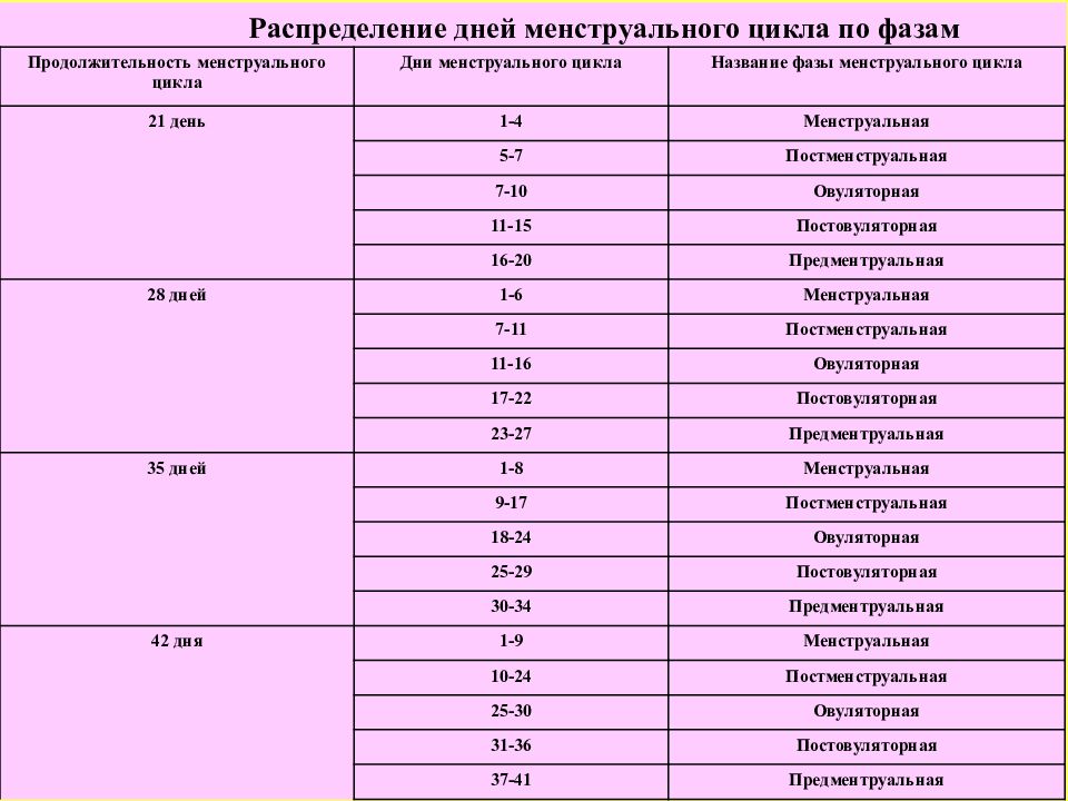 Распределение дня. Распределение суток. Распределение по дням. Распределение дат рождения.