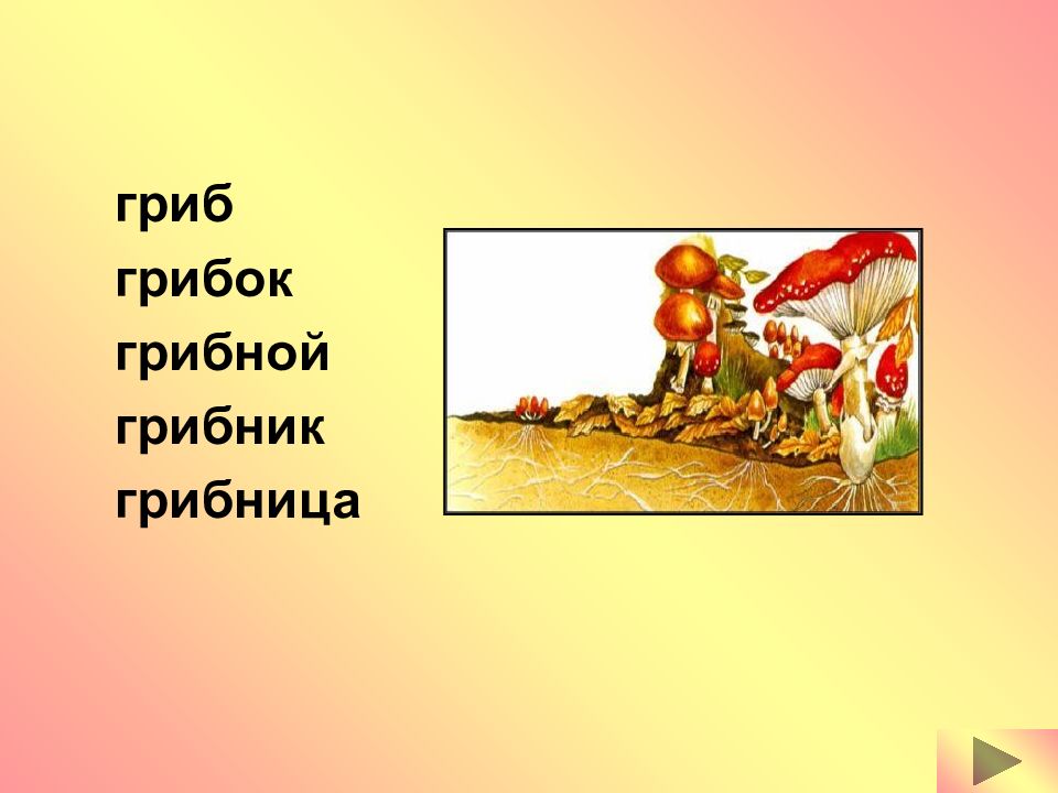 Гриб однокоренные. Гриб однокоренные слова. Однокоренные слова к слову гриб. Слова с корнем гриб.