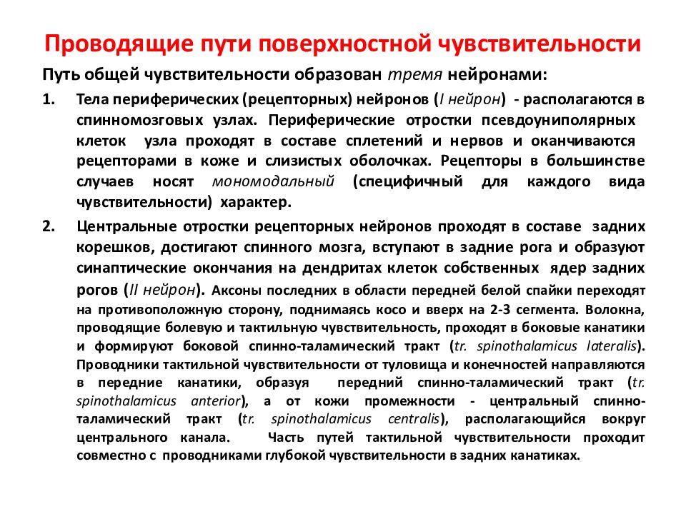 Лемнисковый путь болевой чувствительности. Путь поверхностной чувствительности. Экстероцептивные проводящие пути.