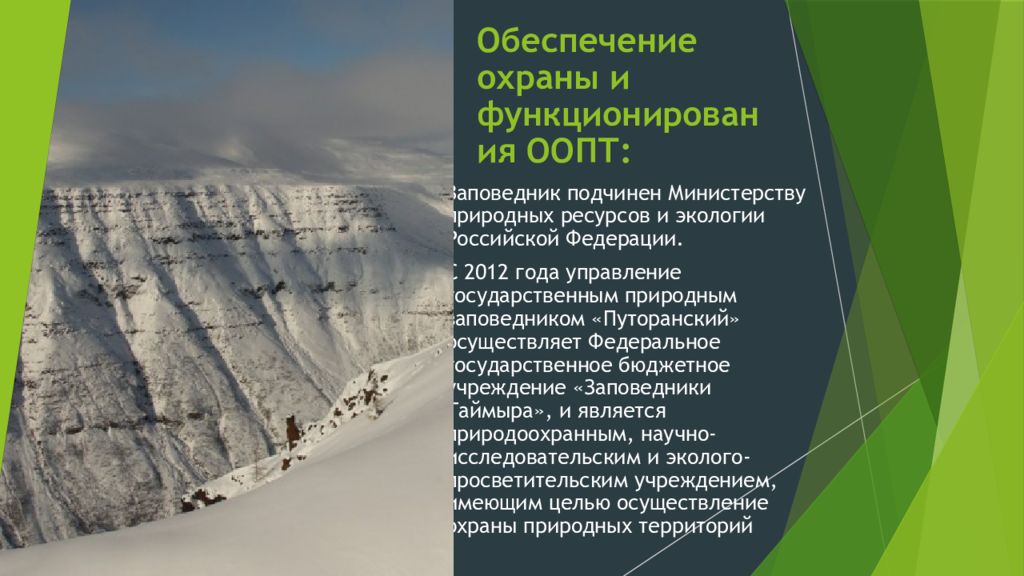 Положение о природных заказниках. Путоранский заповедник презентация. Путоранский государственный природный заповедник на карте. Путоранский государственный природный заповедник. Путоранский заповедник карта.