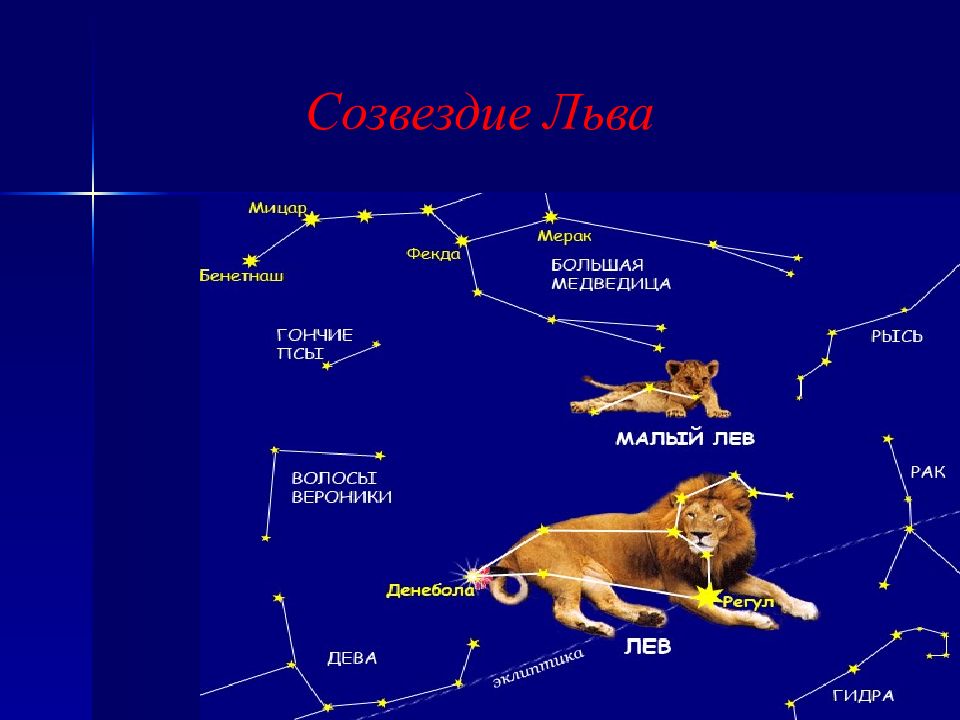 Презентация на тему созвездие льва