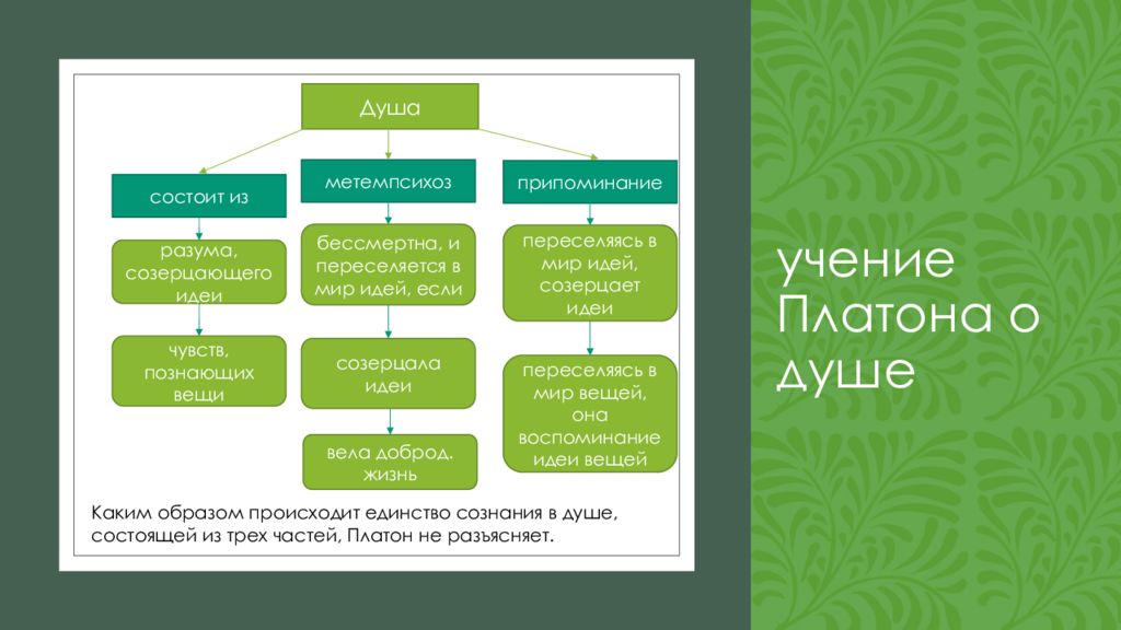 Учение платона презентация