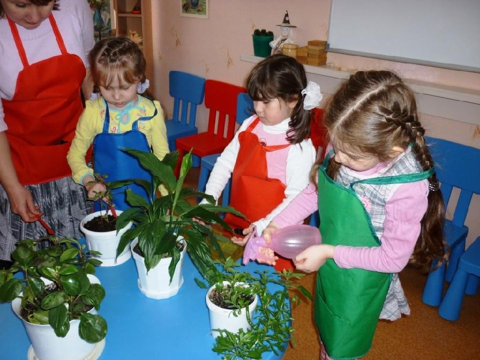 Хозяйственно бытовой труд младшая группа картотека. Труд в детском саду. Комнатные растения в детском саду. Комнатные растения в группе садика. Ухаживание за растениями в детском саду.
