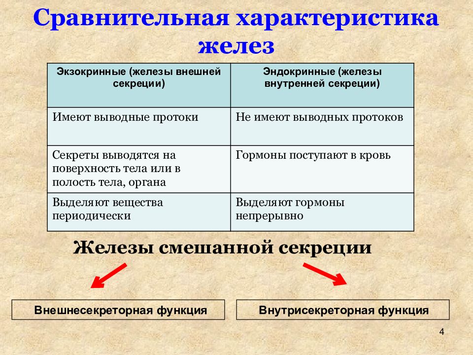 Железы внутренней секреции и их функции 8 класс презентация