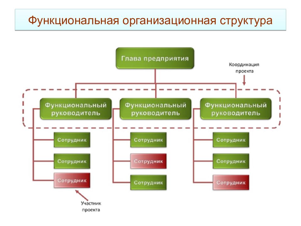 Функциональная организационная структура