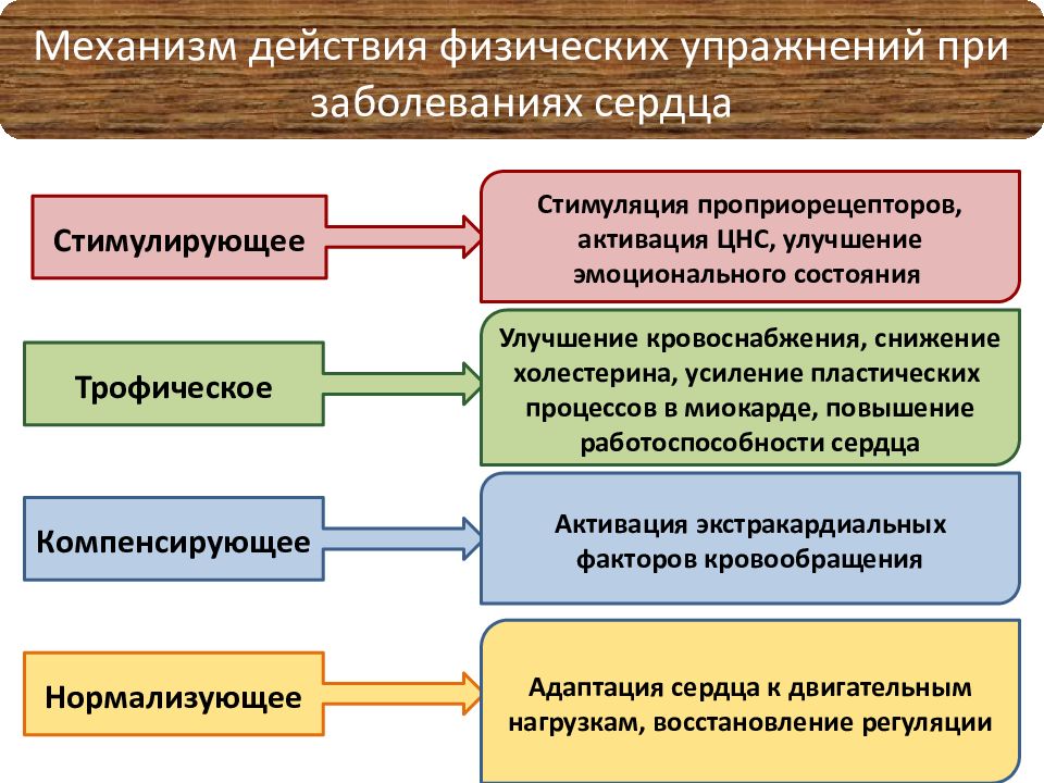 Физическая активность при сердечно сосудистых заболеваниях презентация