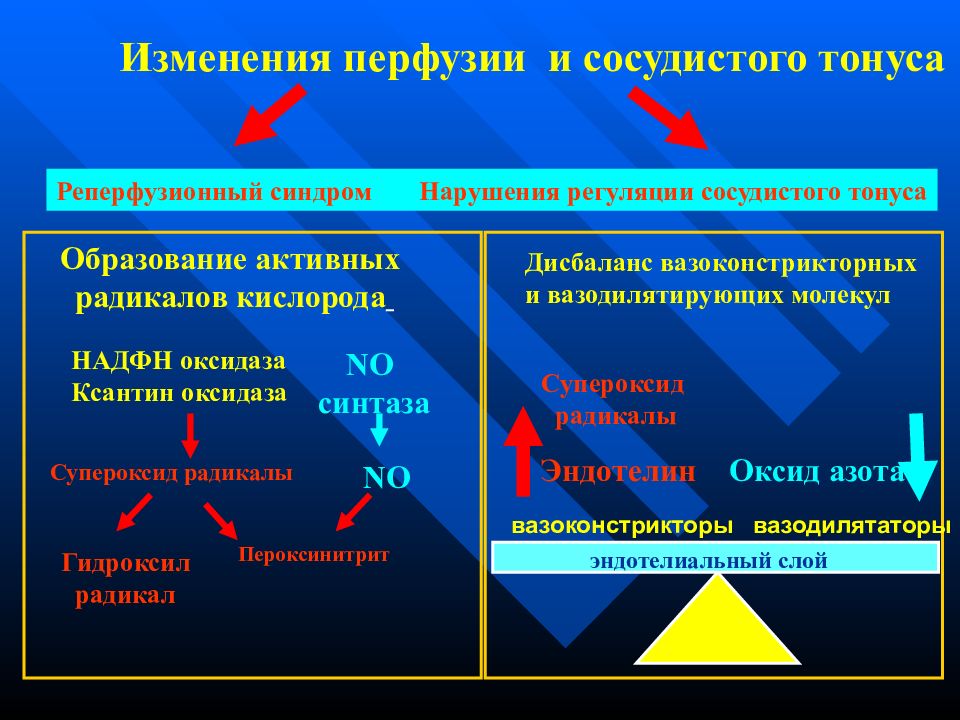 Повышение сосудистого тонуса