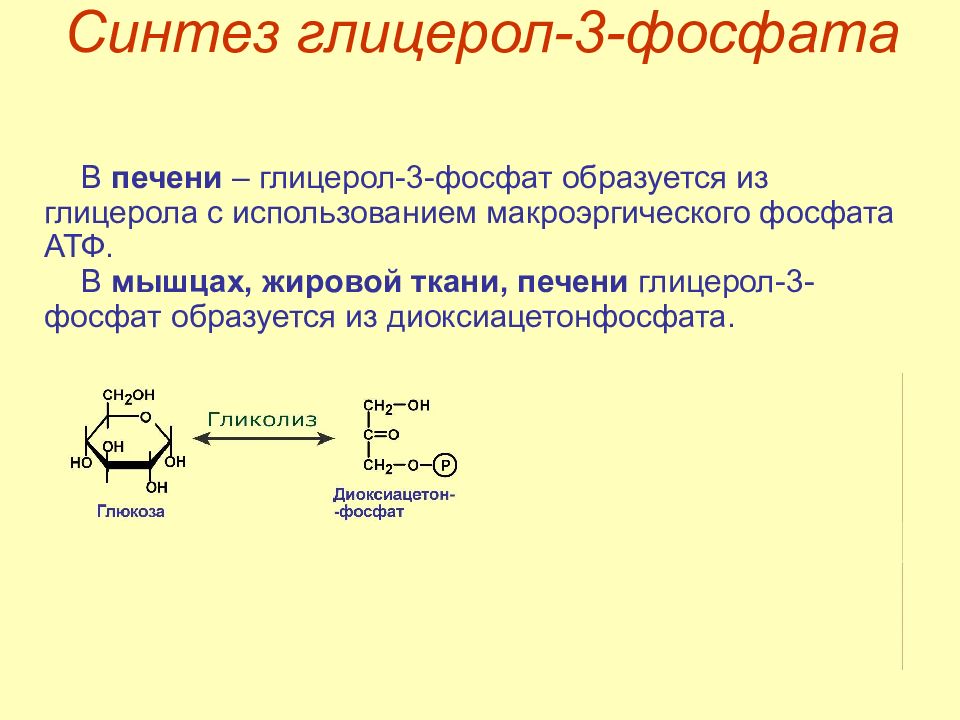 Синтез глицерола схема