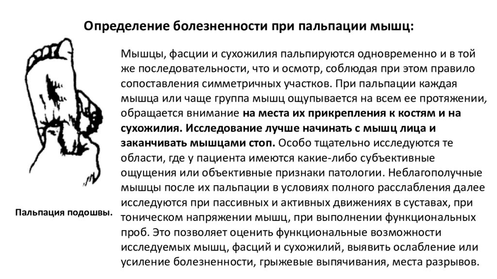 Болезненность при пальпации. Осмотр и пальпация мышечной системы. При пальпации определяется.