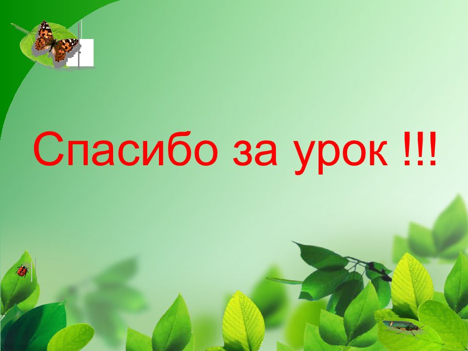 Урок 2 класс природа. Спасибо за внимание биология. Спасибо за внимание природа. Спасибо за внимание зеленое. Спасибо за урок окружающий мир.