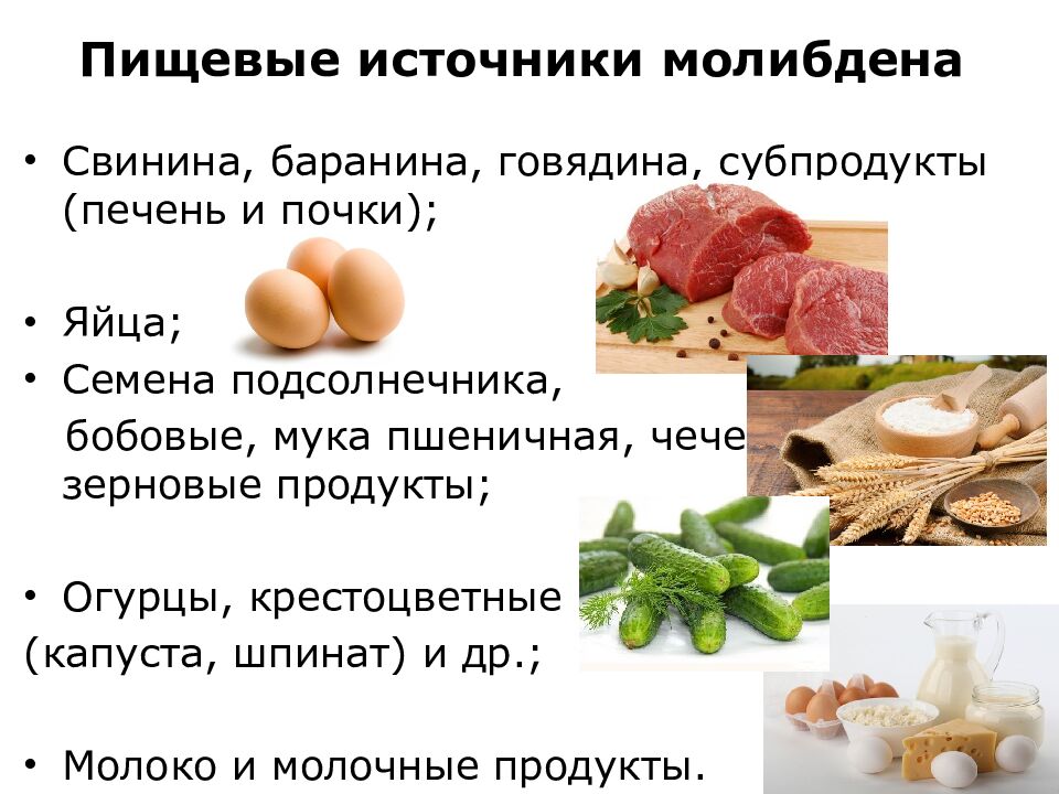 Пищевые источники молибдена