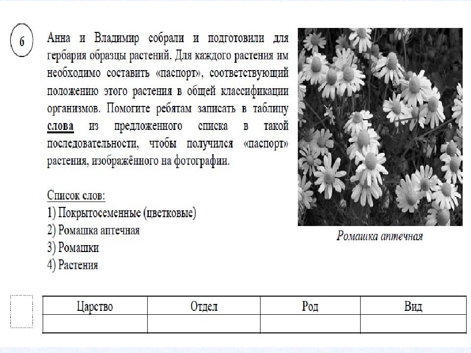 Впр по биологии 6 класс линейная программа образец