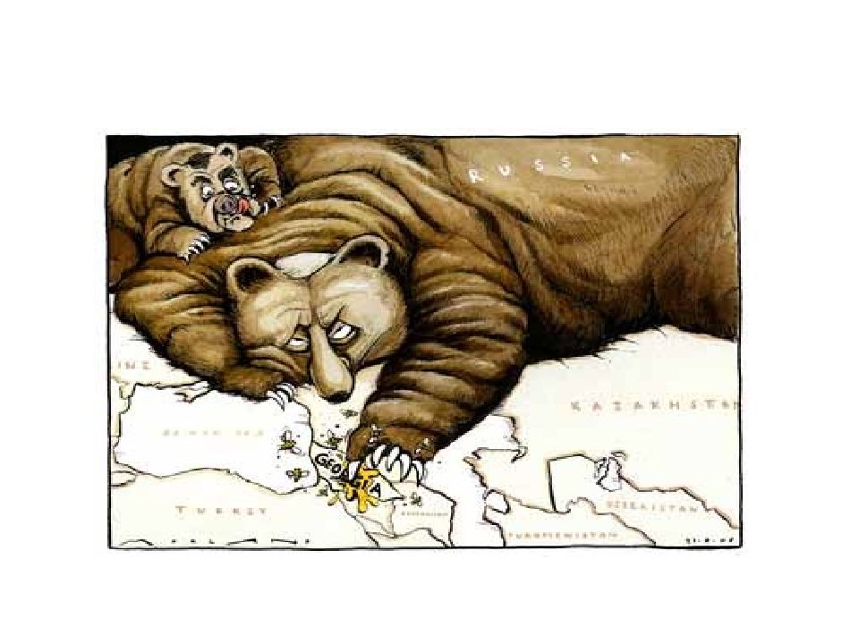 Семейная фотосессия на природе в русском стиле. Стереотип животных. Медведь степан и его жизнь в русской семье. Русский медведь степан. Стереотип животных.